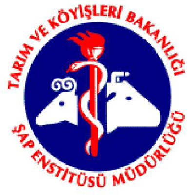 Logo 3